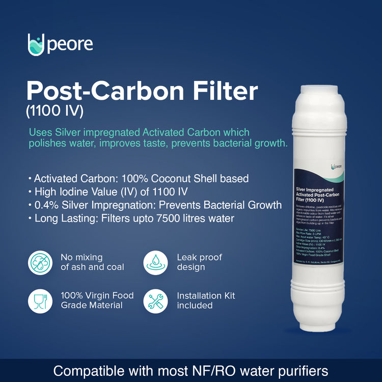 Post-Carbon Filter (1100IV)